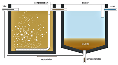 Managing Your Activated Sludge Process (Buena Vista)